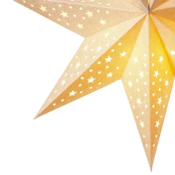 Goudkleurige Ster Solvalla 45 cm