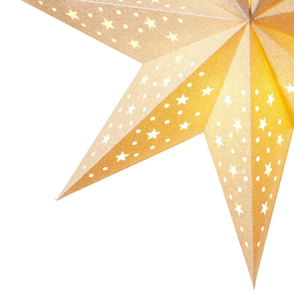 Goudkleurige Ster Solvalla 45 cm