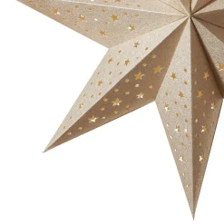 Goudkleurige Ster Solvalla 45 cm
