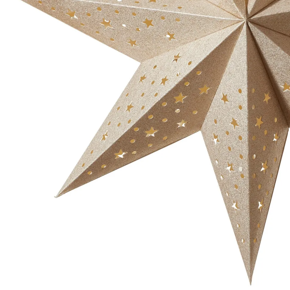 Goudkleurige Ster Solvalla 45 cm