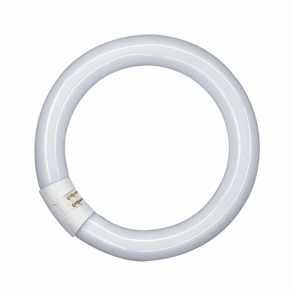 G10q 40W 840 Lumilux T9C TL-ring