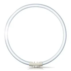 2GX13 60W 840 Ringvormige tl-lamp Master TL5