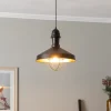 Hanglamp AV-4106-M25-BSY met kooi-kap