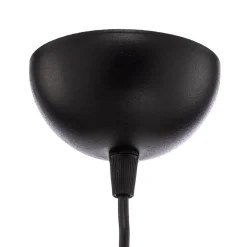 Hanglamp AV-4106-M25-BSY met kooi-kap