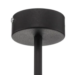 Hanglamp Dione, 2-lamps, zwart