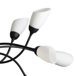 Hanglamp Gloriosa, glas, zwart, 15 lampjes