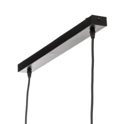 Hanglamp Larus van zwart staal, 2-lamps