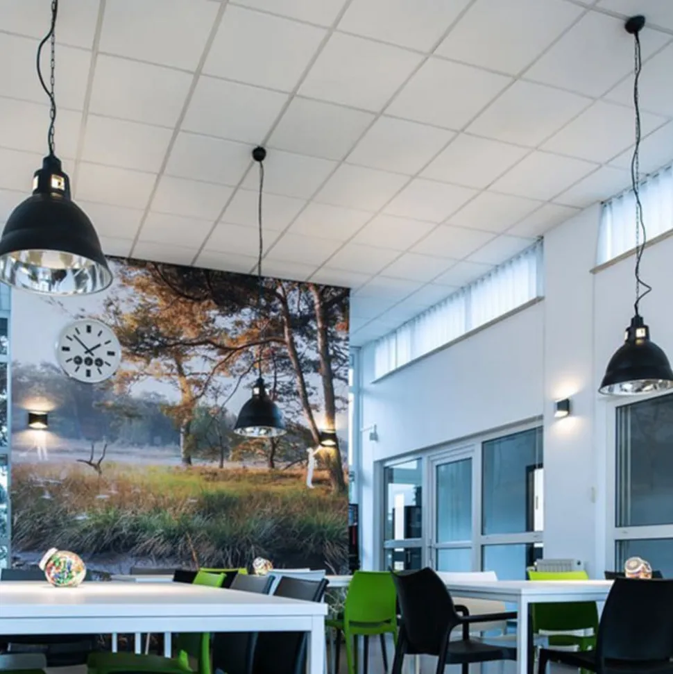 Hanglamp SLV Para 380, zwart