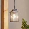 Hanglamp Wexford WX9, IP23, zwart-zilver, metaal, glas