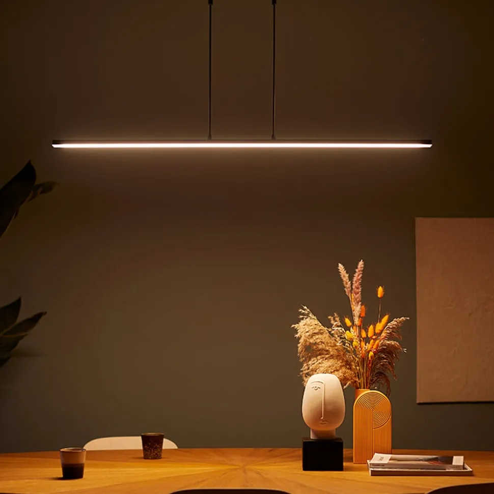 Hanglamp Zelena, zwart, lengte 122cm, metaal, CCT