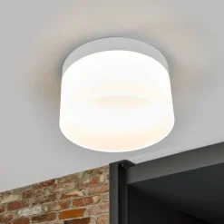 Helestra Liv - LED plafondlamp, 20 cm