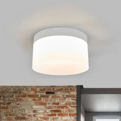 Helestra Liv - LED plafondlamp, 20 cm