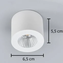Helestra Oso LED plafondspot, rond, wit mat