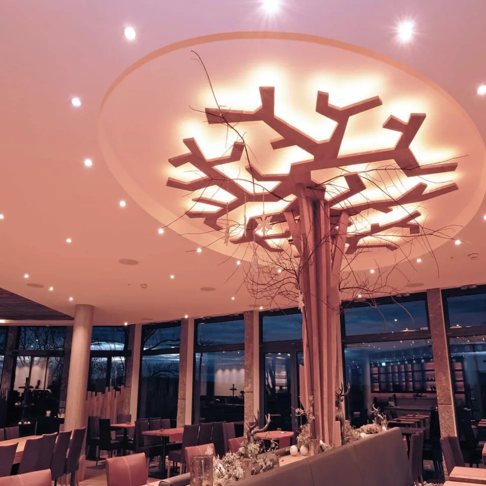 Inbouwspot GU10 zonder lichtbron chroom