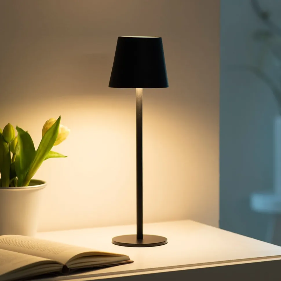 JUST LIGHT. Euria LED tafellamp, zwart, ijzer IP54