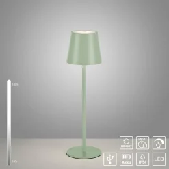 JUST LIGHT. Euria LED tafellamp, groen, ijzer, IP54