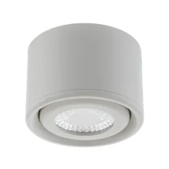 Kantelbare kop - LED downlight Anzio, wit