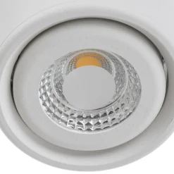 Kantelbare kop - LED downlight Anzio, wit