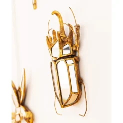 KARE wandobject Kever Spiegel, polyresin, glas, goud