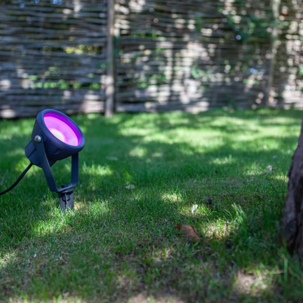 LED aardspies Mini Leto, RGBW smart bestuurbaar