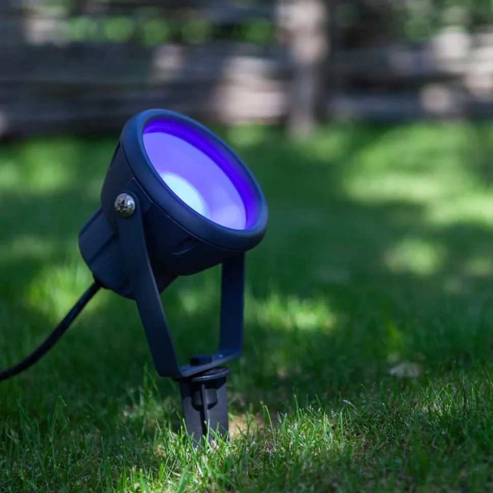 LED aardspies Mini Leto, RGBW smart bestuurbaar