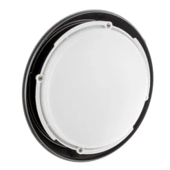 LED buiten plafondlamp Berta, zwart, CCT