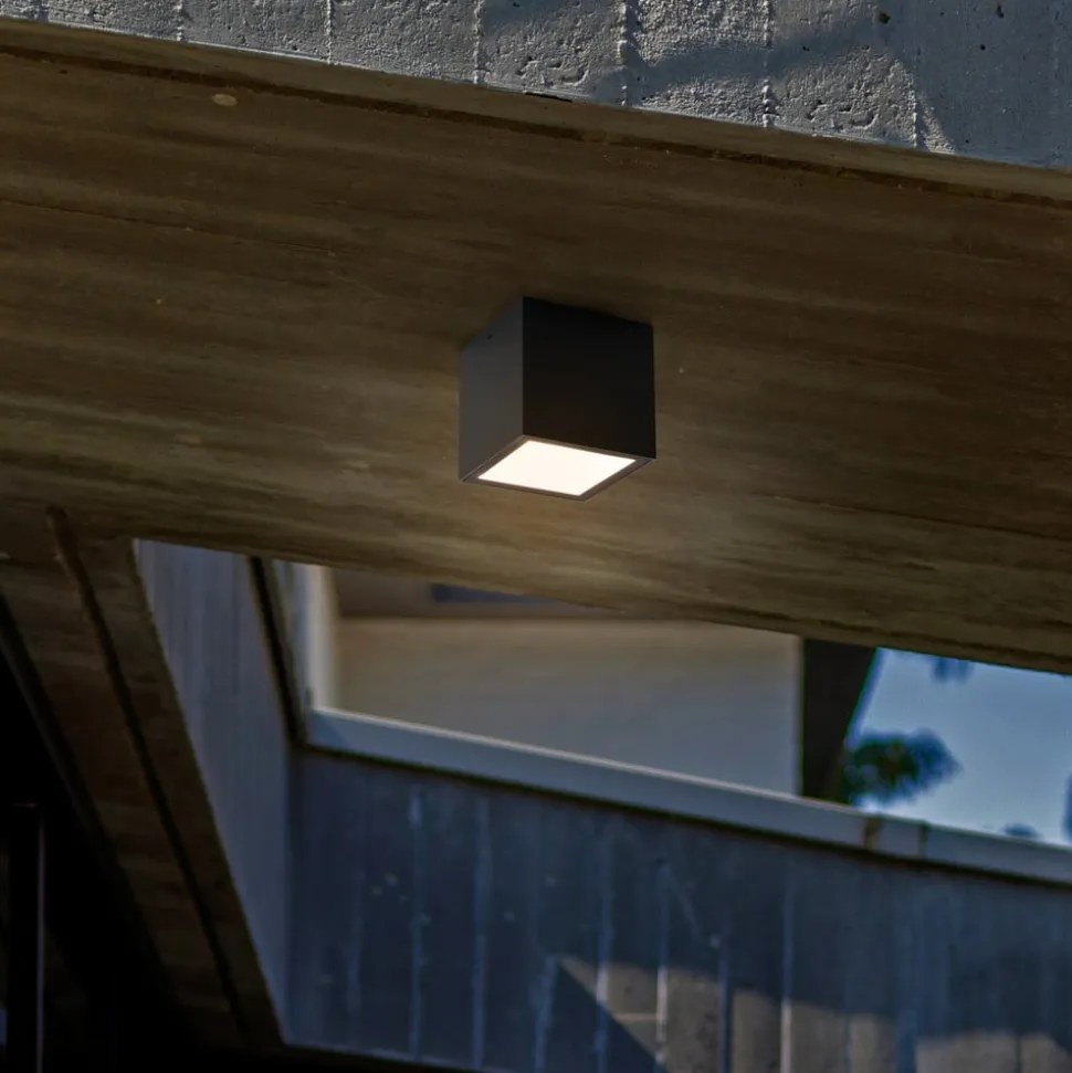 LED buiten plafondlamp Gemini XS, 4.000K antraciet