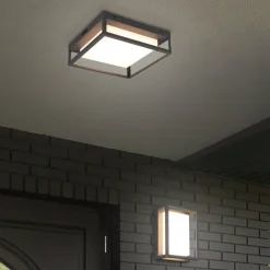 LED buiten plafondlamp Witham IP54, CCT, antraciet