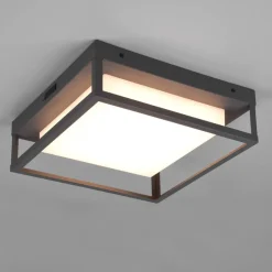 LED buiten plafondlamp Witham IP54, CCT, antraciet