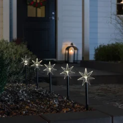 LED buitendecoratie ster, 5-lamps, met grondspies