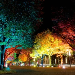 LED buitenspot Flores XL, IP44, CCT, RGB