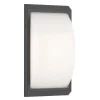 LED buitenwandlamp 053, bewegingsmelder, grafiet