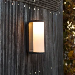 LED buitenwandlamp Adalyn