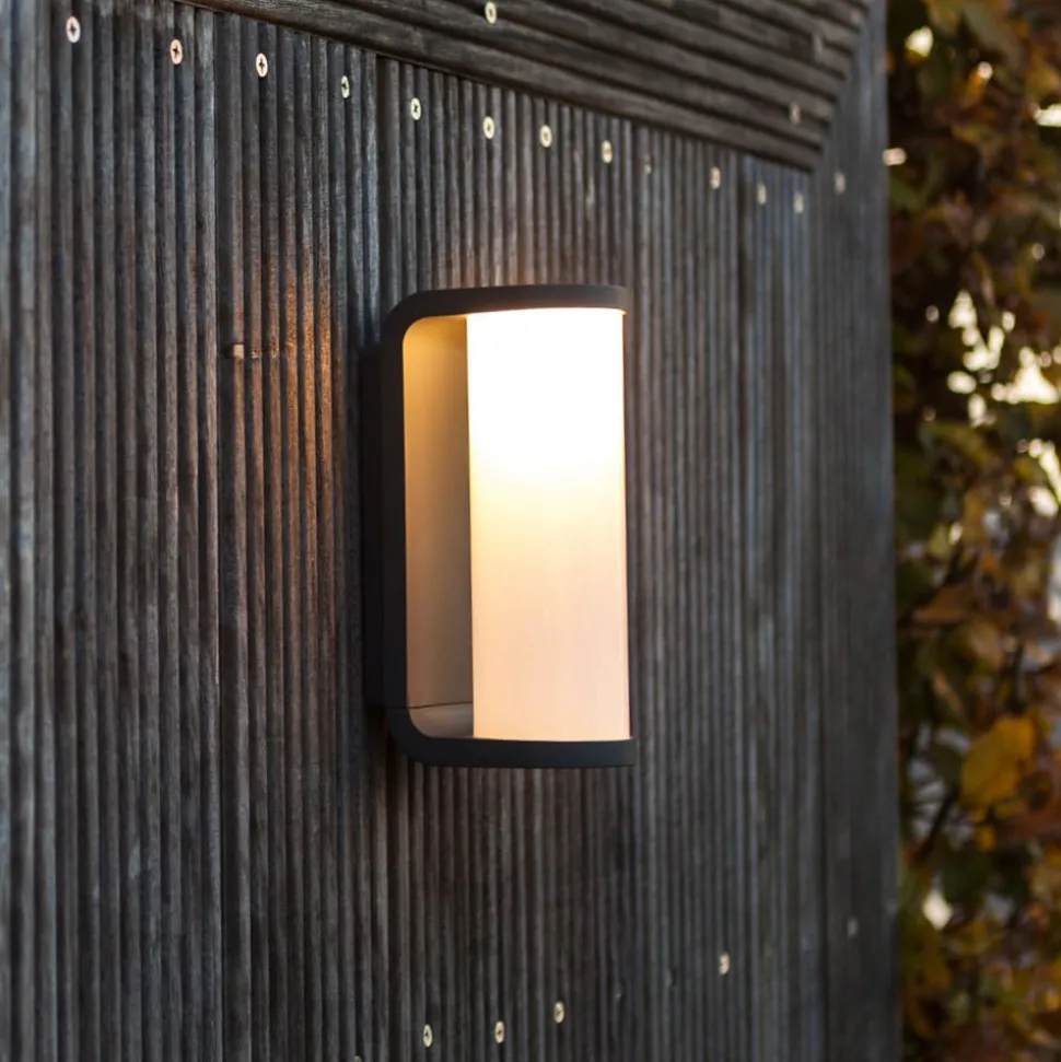 LED buitenwandlamp Adalyn