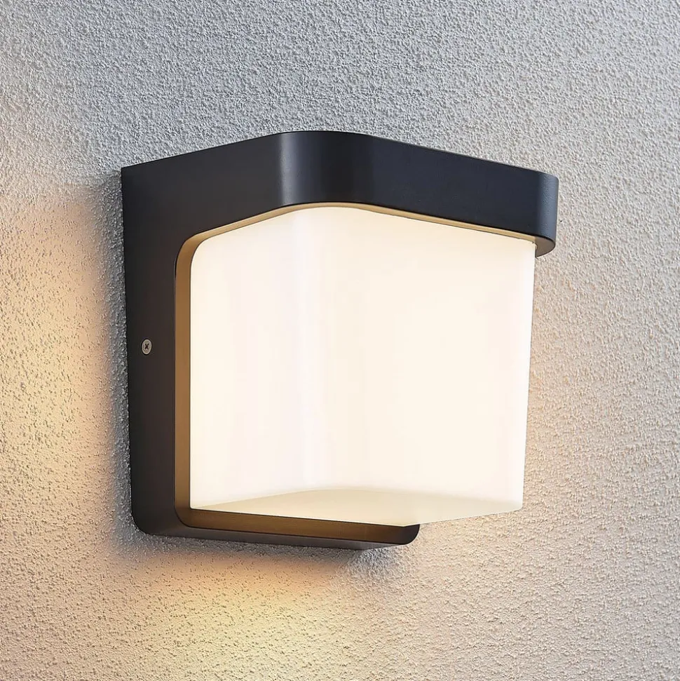 LED buitenwandlamp Adenike zonder sensor