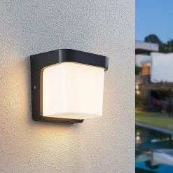 LED buitenwandlamp Adenike zonder sensor