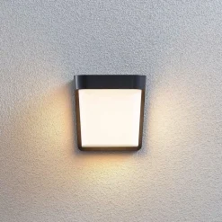 LED buitenwandlamp Adenike zonder sensor