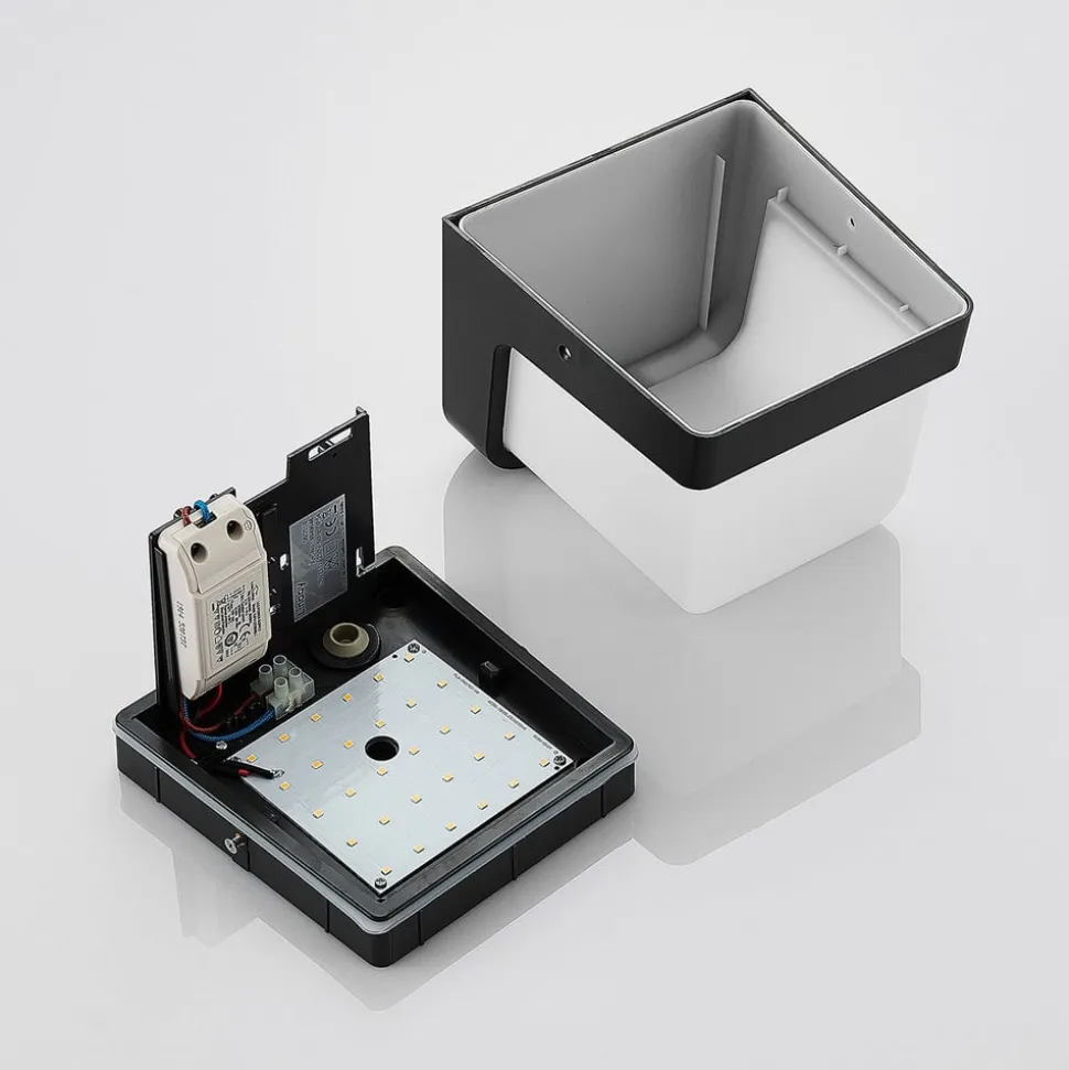 LED buitenwandlamp Adenike zonder sensor