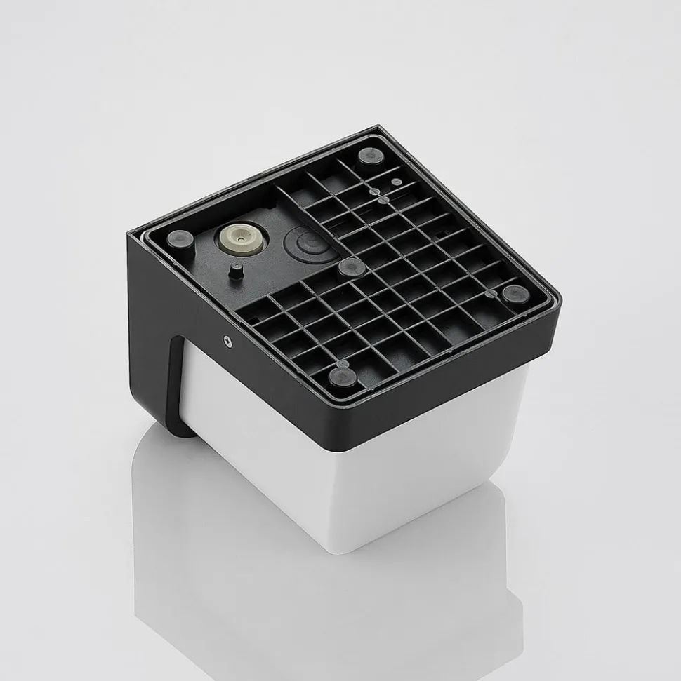 LED buitenwandlamp Adenike zonder sensor