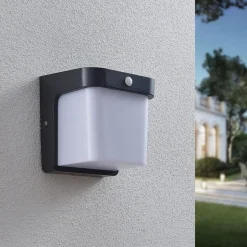 LED buitenwandlamp Adenike met sensor