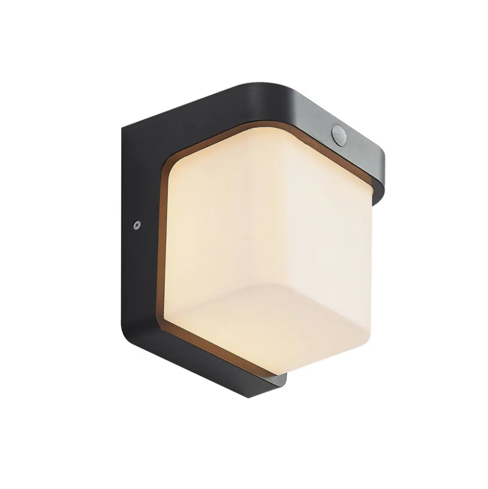 LED buitenwandlamp Adenike met sensor