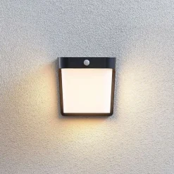 LED buitenwandlamp Adenike met sensor