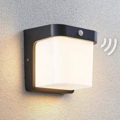 LED buitenwandlamp Adenike met sensor