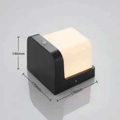 LED buitenwandlamp Adenike met sensor