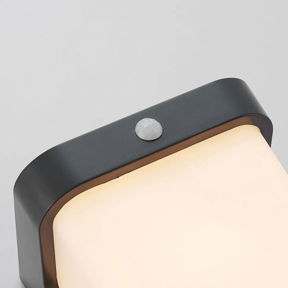 LED buitenwandlamp Adenike met sensor