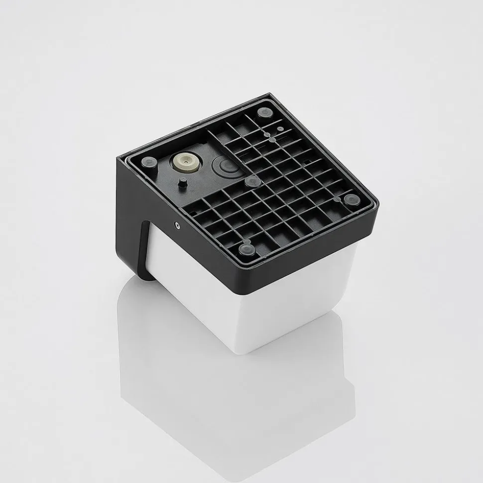 LED buitenwandlamp Adenike met sensor