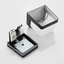 LED buitenwandlamp Adenike met sensor