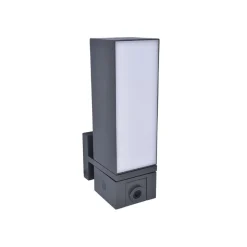 LED buitenwandlamp Cuba, camera sensor