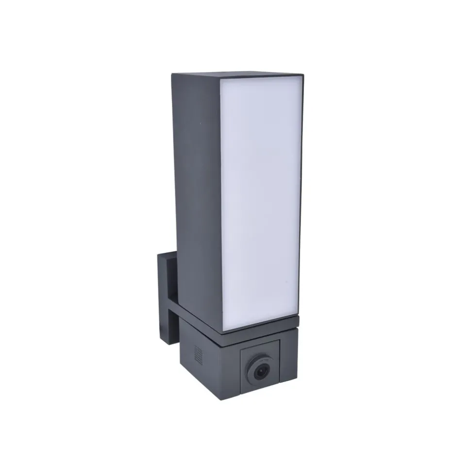 LED buitenwandlamp Cuba, camera sensor