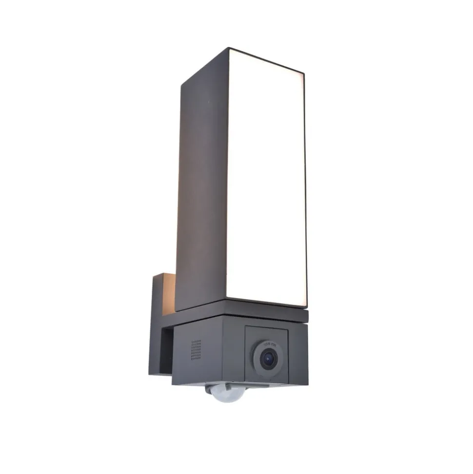 LED buitenwandlamp Cuba, camera sensor